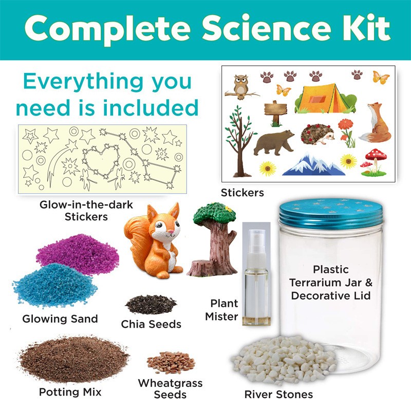 室内栽培子供用楽しい植物ボックスセット ミニ子供科学植物園  - Science Nursery のレビューと価格