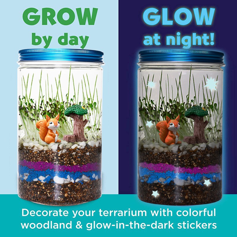 室内栽培子供用楽しい植物ボックスセット ミニ子供科学植物園  - Science Nursery のレビューと価格