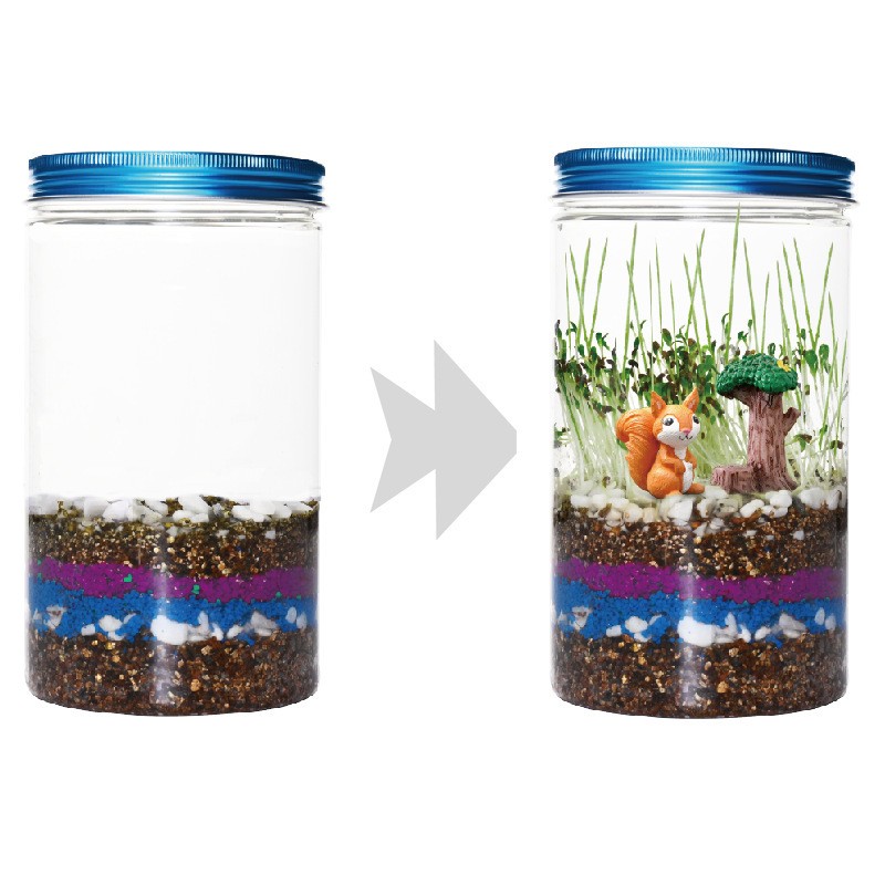 室内栽培子供用楽しい植物ボックスセット ミニ子供科学植物園  - Science Nursery のレビューと価格