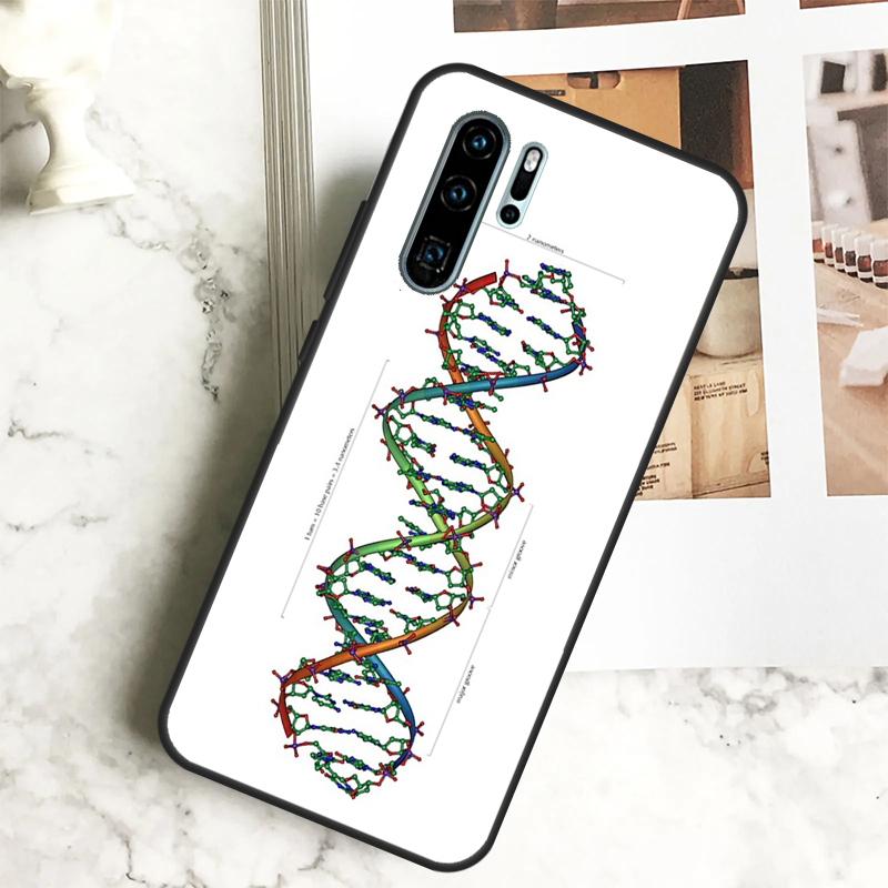 科学、DNA、生物学をテーマにした、Huawei Nova  - Science Nova のレビューと価格