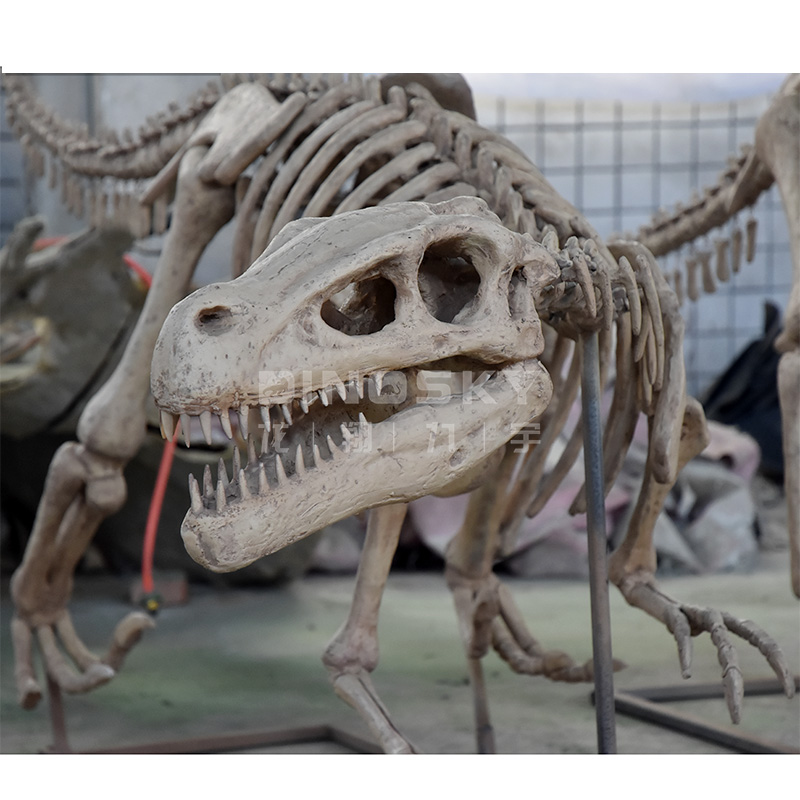 ATV&UTV樹脂製ラプタースケルトン化石恐竜模型（展示用、 - Science Exhibition Models のレビューと価格